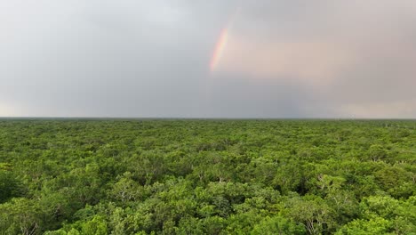 rainbow at sunset over the dense jungle