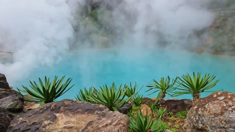 palm trees against a vibrant turquoise blue water background of geothermal hotspring