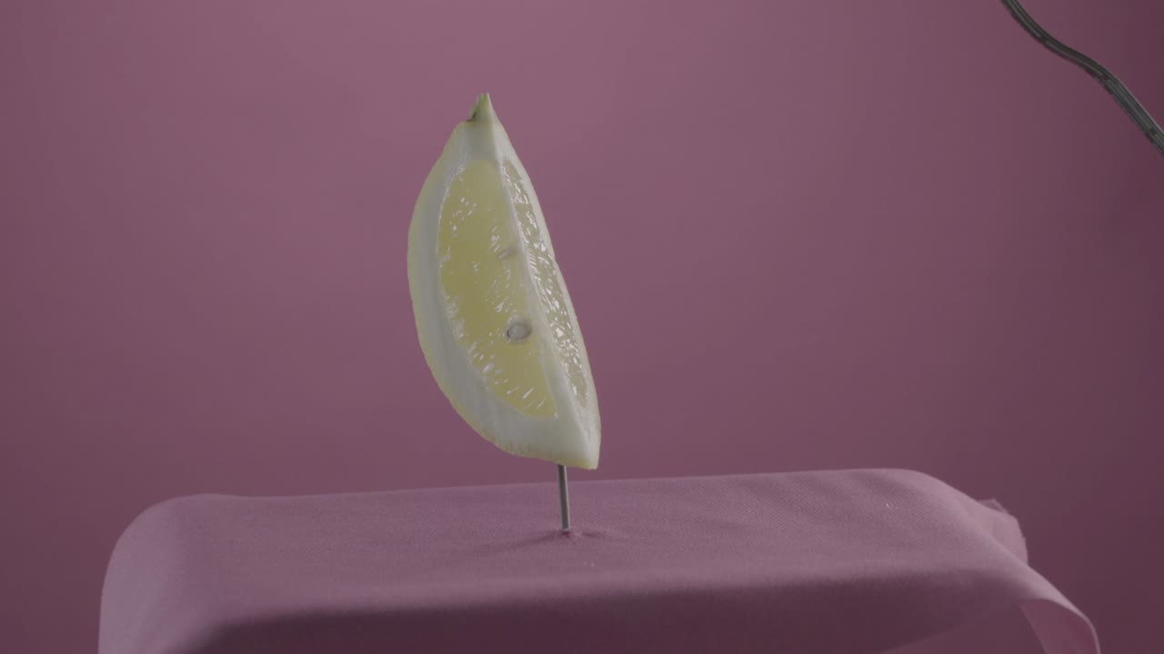 크로마 키에 대한 푸키아 스크린에 루프와 함께 회전하는 레몬