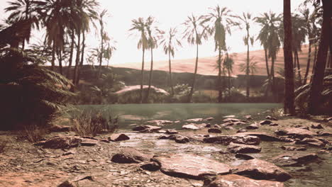 de un hermoso panorama de oasis rodeado de dunas de arena