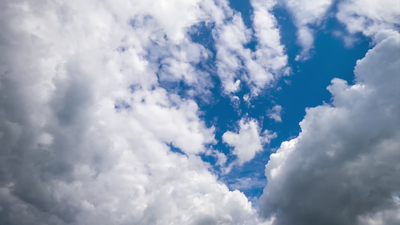 White fluffy cumulus clouds quickly changing shape in the blue skies. Grey cloudscape appearing and covering the sky. View from below timelapse.