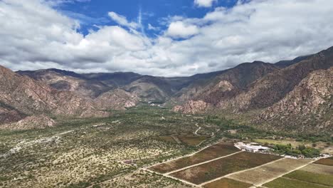 aerial view of vineyards of the torrontés grape variety in the province of salta, argentina