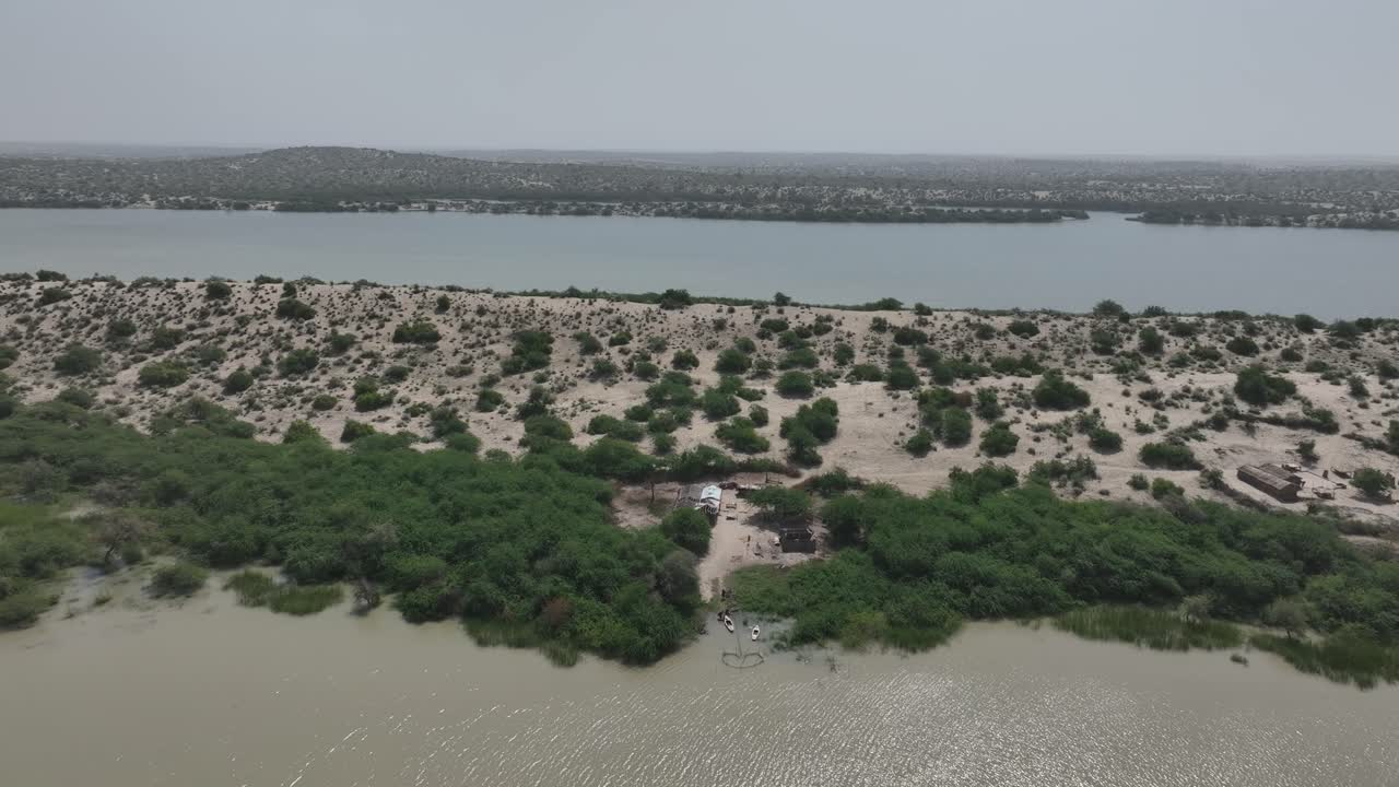 plantas en las dunas de arena rodeadas por el agua del lago en el lago botar sanghar, sindh, pakistán