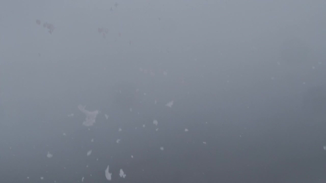 Fine snow particles and small flakes fall gently through misty gray winter air