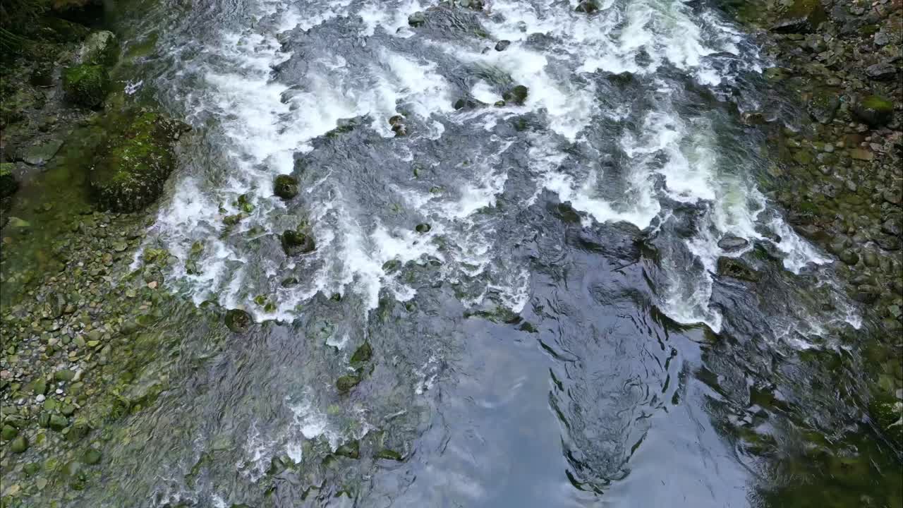 Ripresa drone del fiume di Vancouver con panoramica verso l'alto