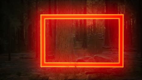 neon glowing rectangle frame in the night forest