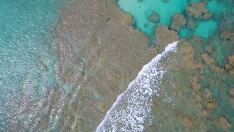 Pareja-Haciendo-Snorkel-En-El-Mar-4k