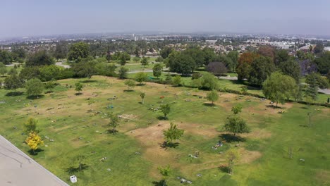 wide aerial descending shot of a burial lawn with flowered grave sites at a mortuary in california