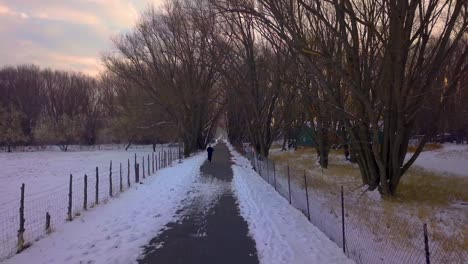 A-fit-person-runs-along-a-rural-pathway-in-the-cold-winter-morning