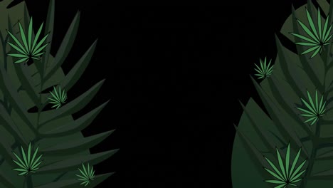 animation of tropical leaves on black background