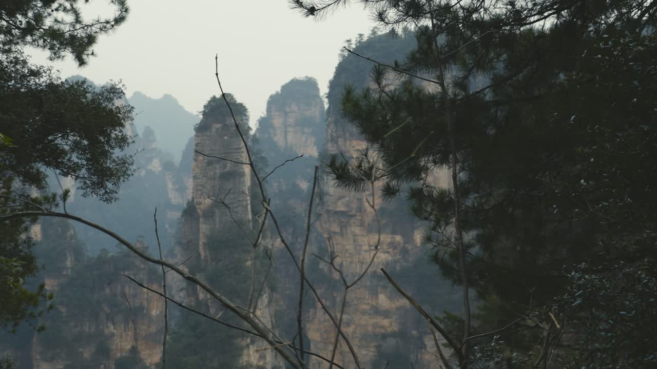Zhangjiajie's iconic rock formations seen through branches and dense foliage, emphasizing the natural framing of the rugged landscape
