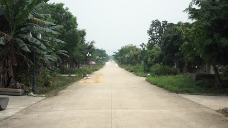 wideshot of an empty, quiet vietnamese village road surrounded by trees and with people in background