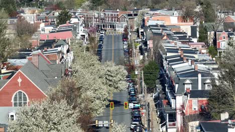 Blühende-Bäume-In-Einer-Amerikanischen-Stadt-Im-Frühling