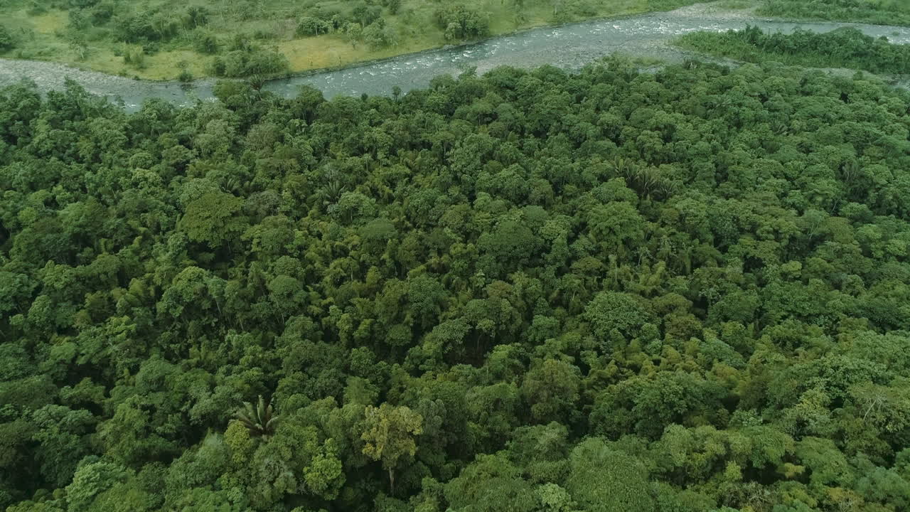 피친차 지방의 에콰도르 초코 지역의 리오 블랑코