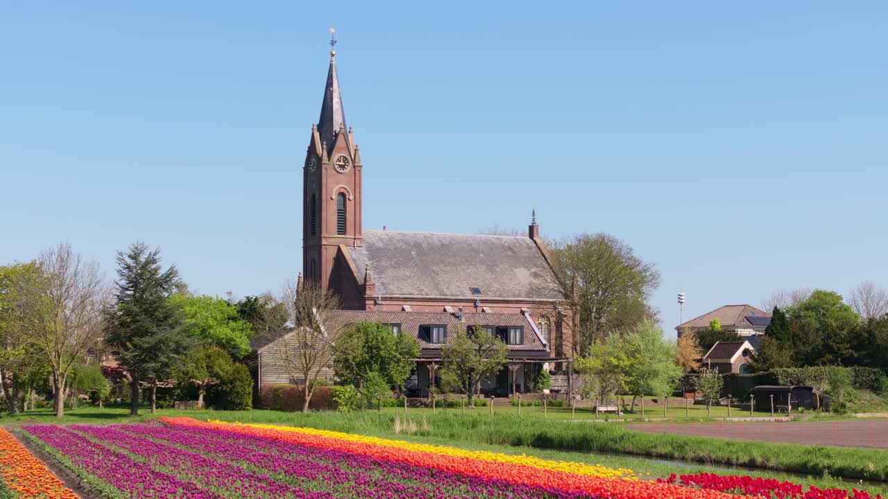 Vista aerea di tulipani colorati che circondano la cappella del villaggio rurale di Berkhout.