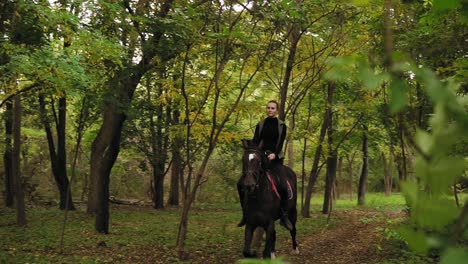 galope en el parque: joven jinete femenina en el caballo en un galope de bosque sombreado. a caballo en un día soleado. a caballo en el