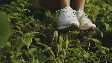 slow panning shot of a person standing in shoes surrounded by greenery in south india