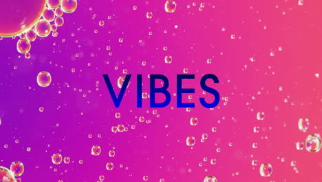 vibes text over animation of bubbles on pink and purple gradient background