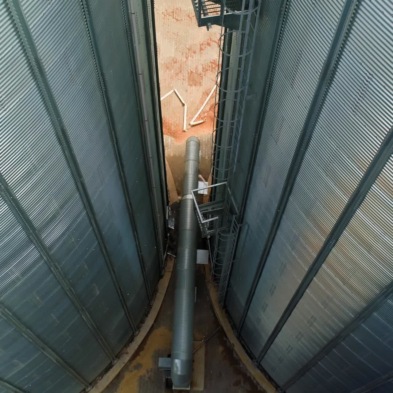 Kornelevator. Kornelevator ved moderne agroforarbejdningsfabrik.