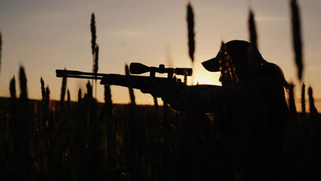 a sniper rifles from a rifle with an optical sight on the sunset sports shooting and hunting concept