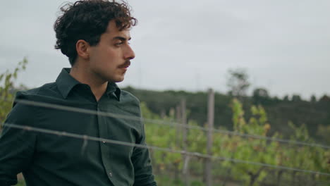 viticulturist walking grape plantation looking on yellow vine bushes close up.