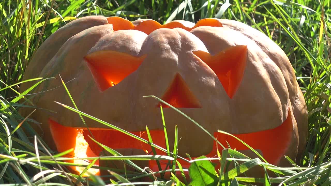 Zucca spettrale di Halloween. Riprese a ottobre