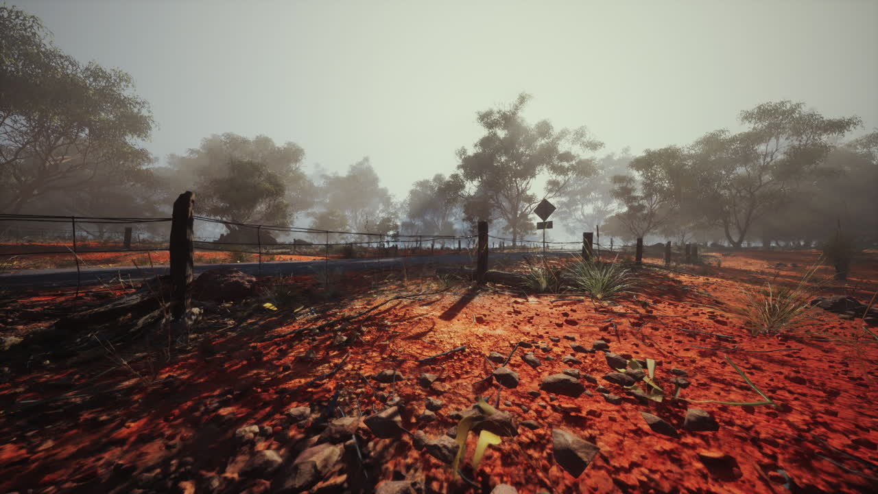 camino de tierra roja en el interior de australia