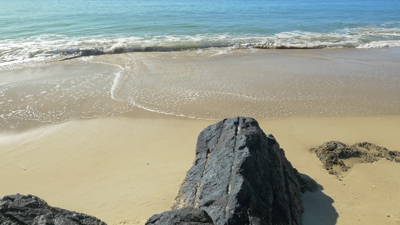 olas del mar en la orilla arenosa - día soleado en la playa de palmeras - costa dorada, australia