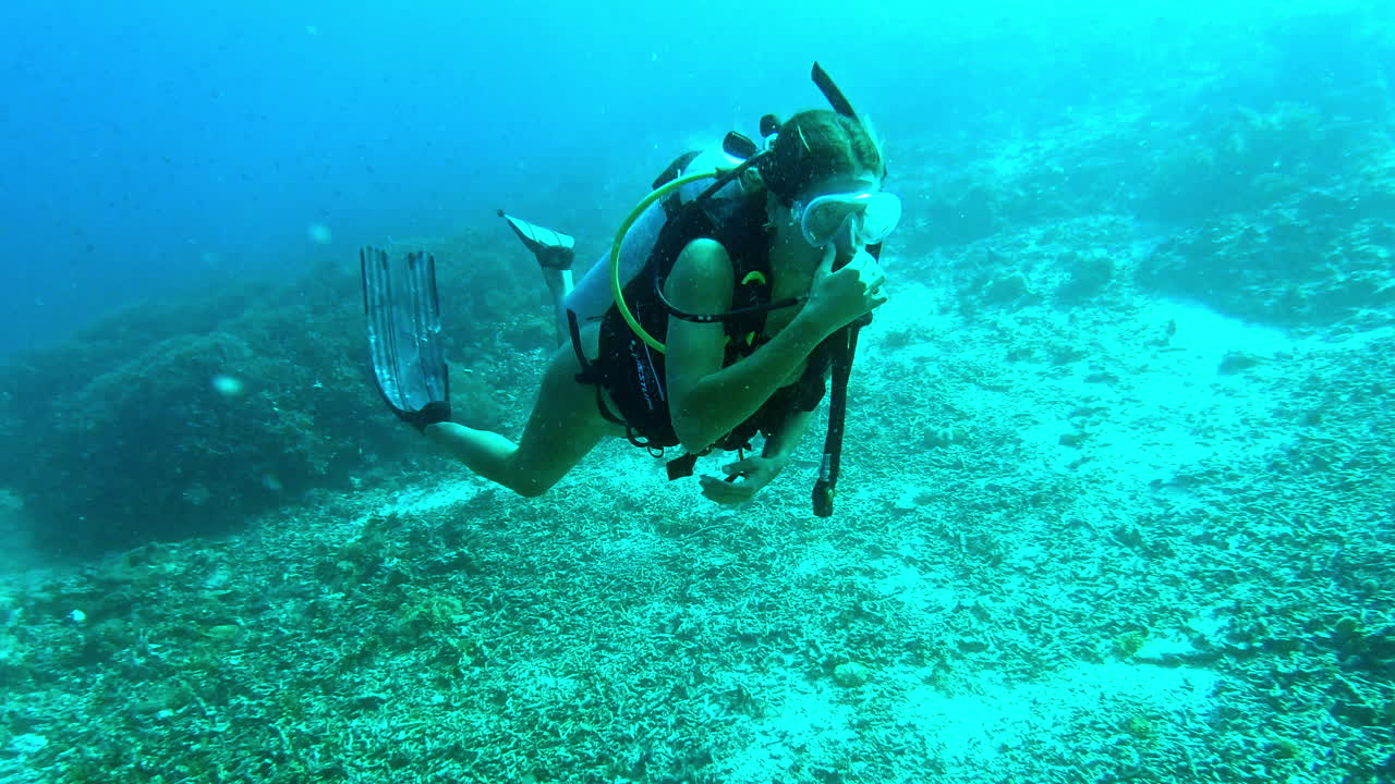 la experiencia del buceo te cambiará para siempre