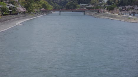 río uji y puentes en primavera, revelación inclinada de la hermosa ciudad japonesa