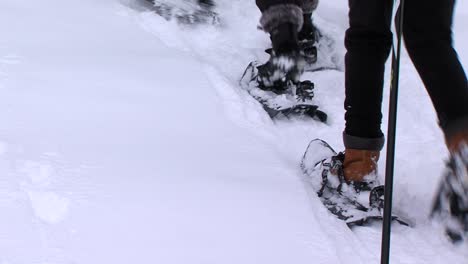 children with snowshoes on feet walk in deep snow, static closeup