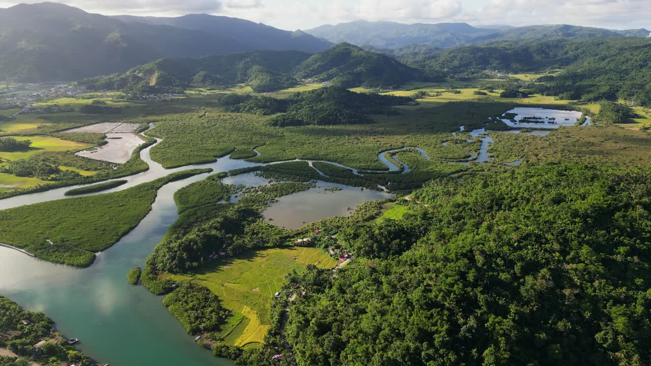 Panoramic Aerial View Of Batalay Mangrove Eco Park In Bato, Catanduanes, Philippines.
