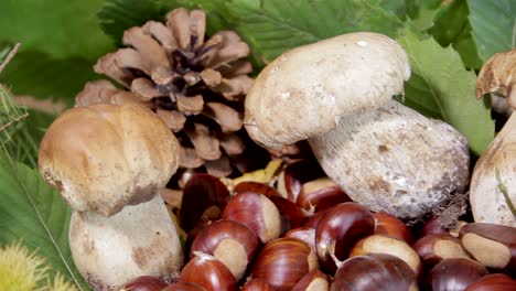 Pilze-Und-Kastanien-In-Herbstlicher-Komposition