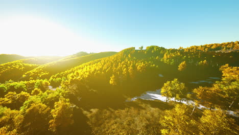 aerial drone view of a mountain forest with colorful autumn trees