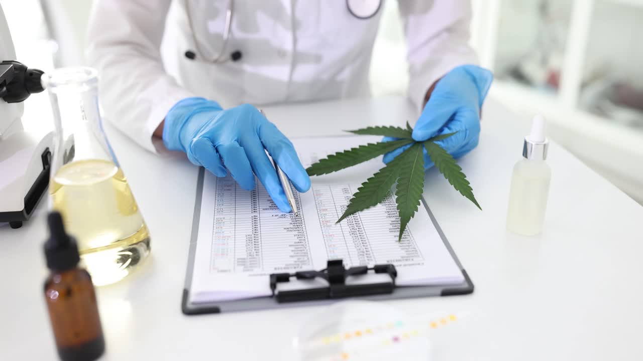 Scientist analyzing cannabis leaf and records in laboratory