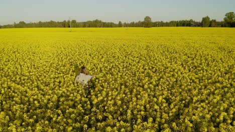 frau, die sich während der goldenen stunde im rapsfeld wundert