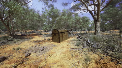 exploring a hidden treasure chest in a dry forest landscape