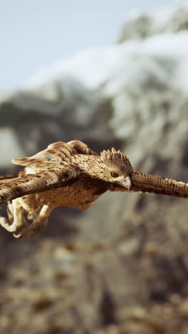 eagle flying over mountains