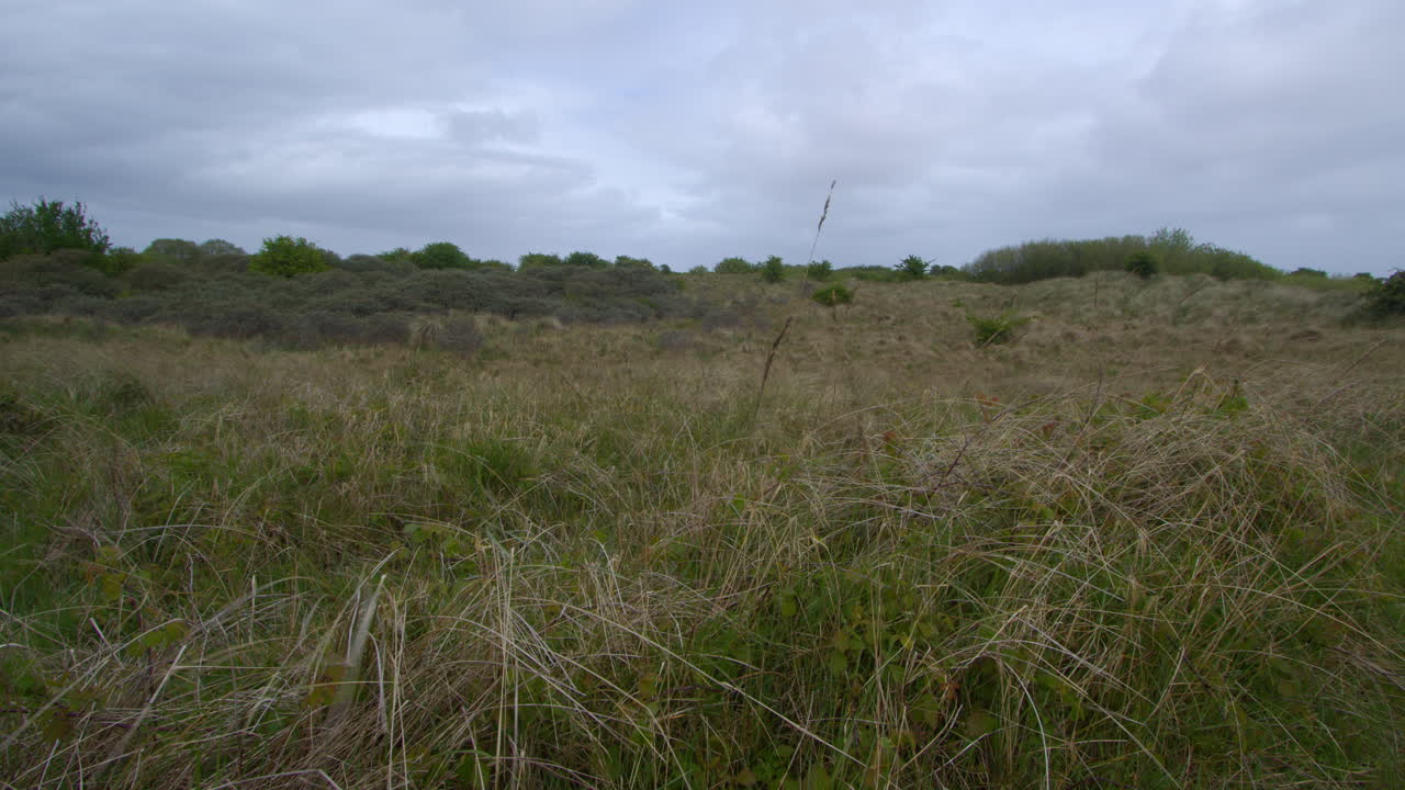 tomada amplia de theddlethorpe, las dunas, la reserva natural nacional en saltfleetby