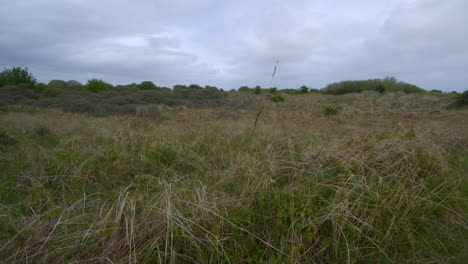 Weite-Aufnahme-Von-Theddlethorpe,-Dünen,-Nationales-Naturschutzgebiet-Bei-Saltfleetby