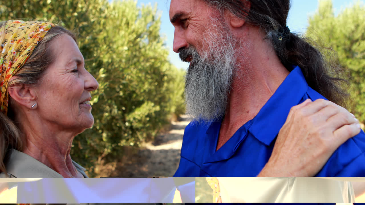 만적 인 커플이 서로 상호 작용하는 4k