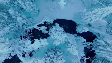 descending over river flowing through the forest in deep winter snow