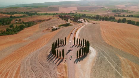 arid agricultural fields and green cypresses during summer near san quirico d'orcia, italy - aerial drone shot