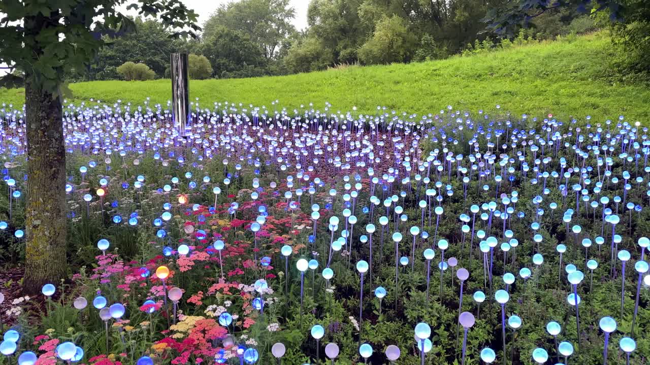 A huge field of colorful electric flowers (4K60)