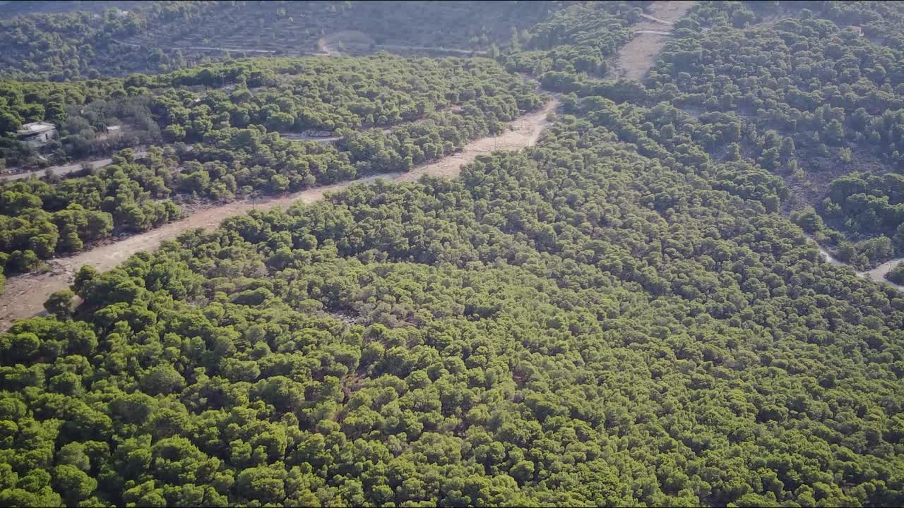 imágenes de drones de un denso bosque verde a la luz del sol en agia marina, aigina