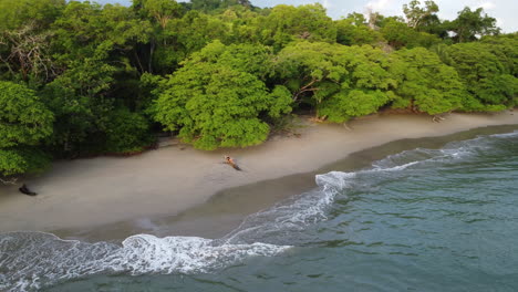 Vista-Aérea-De-Una-Persona-Sentada-Sola-En-Una-Playa-Tropical-En-Costa-Rica