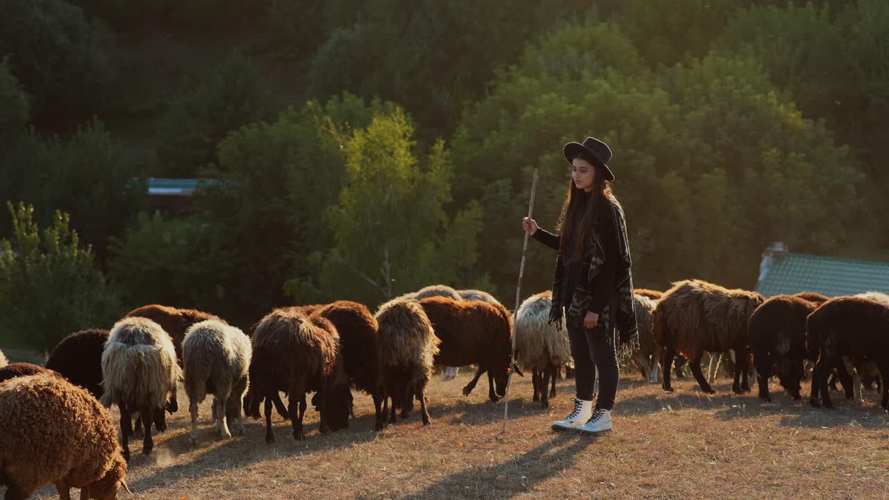Young Woman Herding Sheep in the Mountains at Sunset