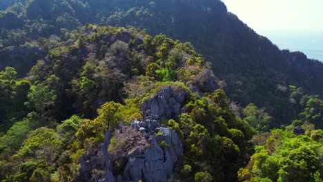 sunlight shining on a dense, vibrant green forest covering a mountainside in southeast asia