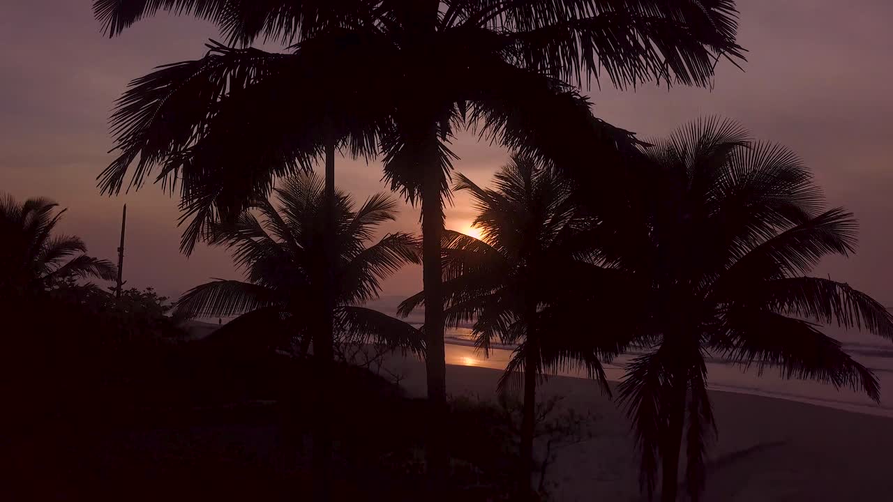 estableciendo una foto de un dron de 4k que muestra una hermosa playa y palmeras al amanecer en brasil