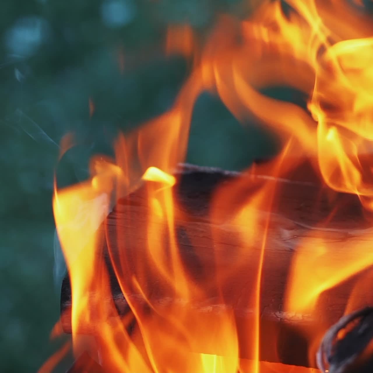 boards are smoldering and burning in the bonfire in the yard